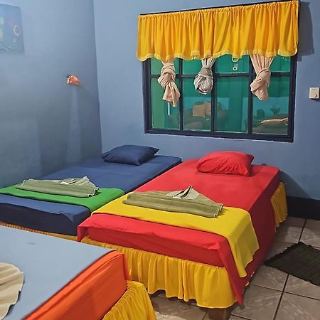 Cabinas Tortuguero Natural 外观 照片