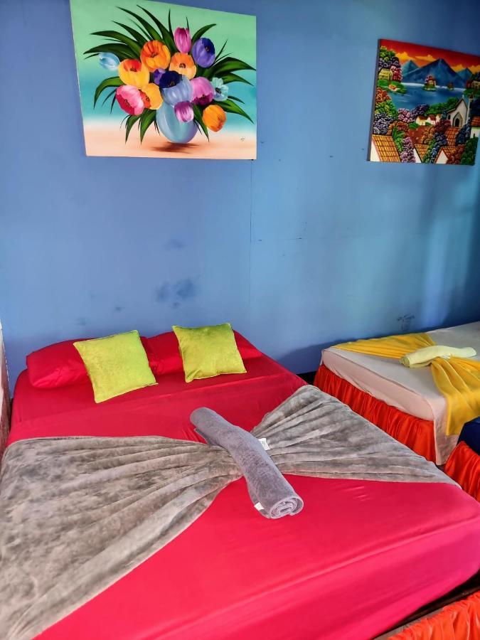 Cabinas Tortuguero Natural 外观 照片