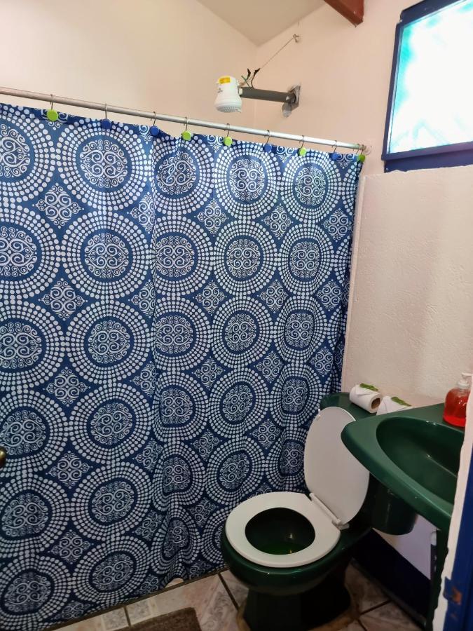Cabinas Tortuguero Natural 外观 照片