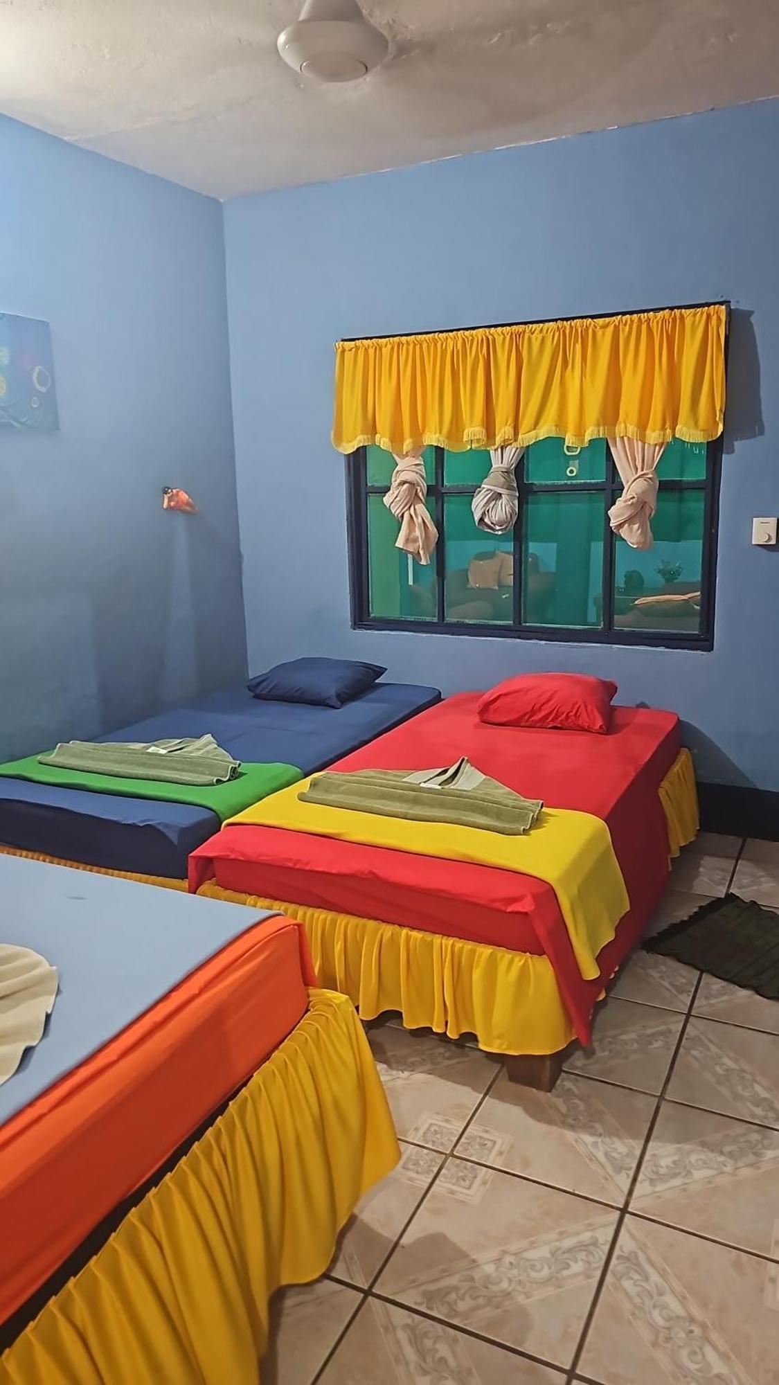 Cabinas Tortuguero Natural 外观 照片