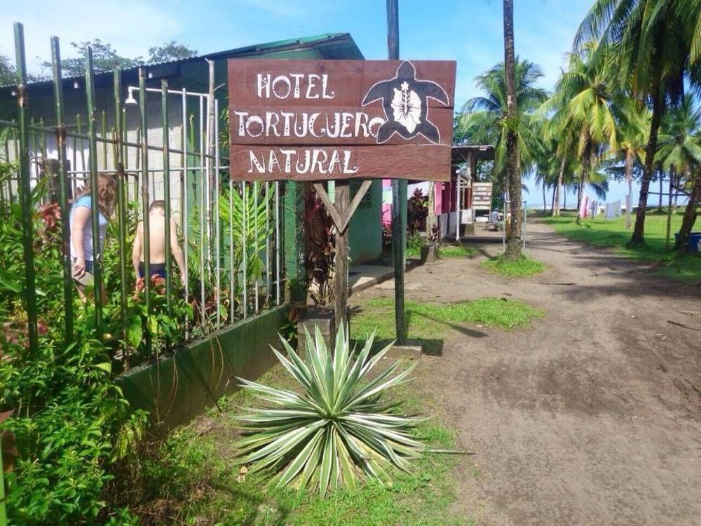 Cabinas Tortuguero Natural旅舍 外观 照片