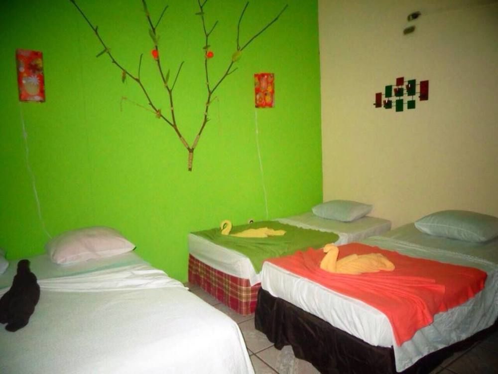 Cabinas Tortuguero Natural 外观 照片