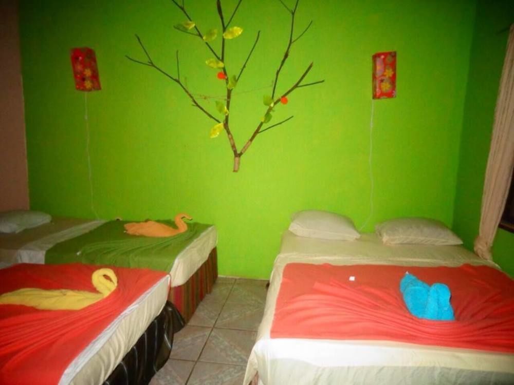Cabinas Tortuguero Natural 外观 照片