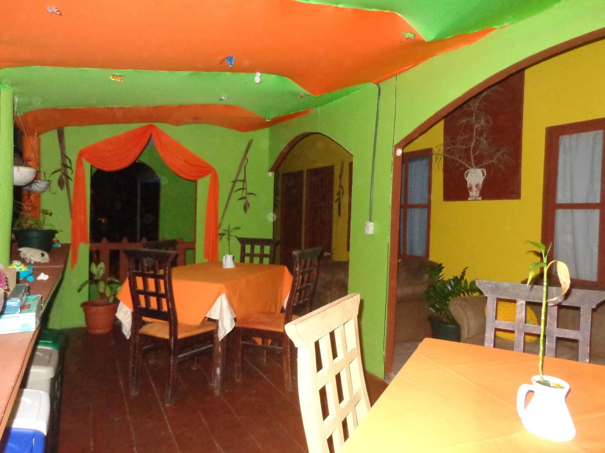 Cabinas Tortuguero Natural 外观 照片