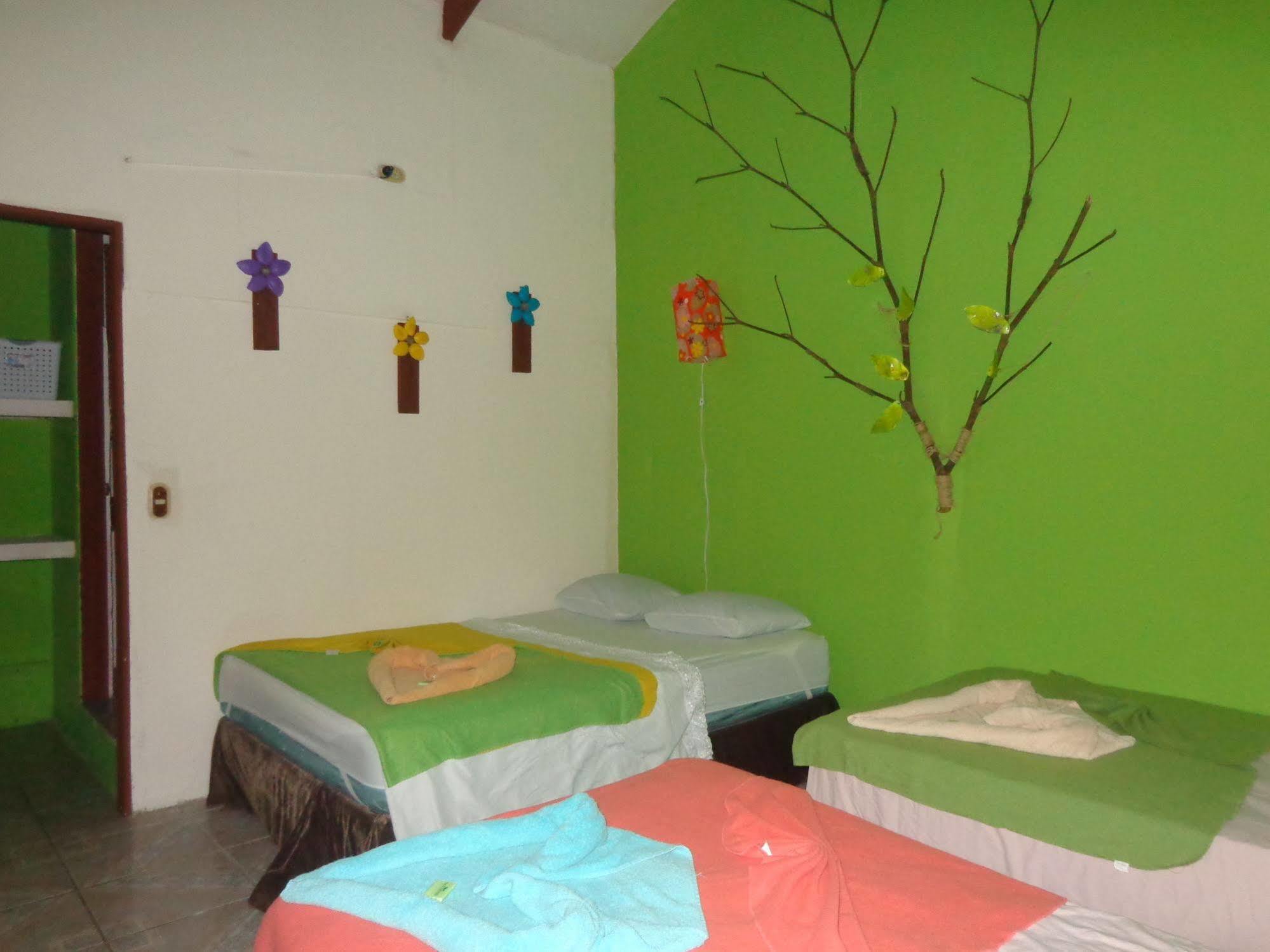 Cabinas Tortuguero Natural 外观 照片