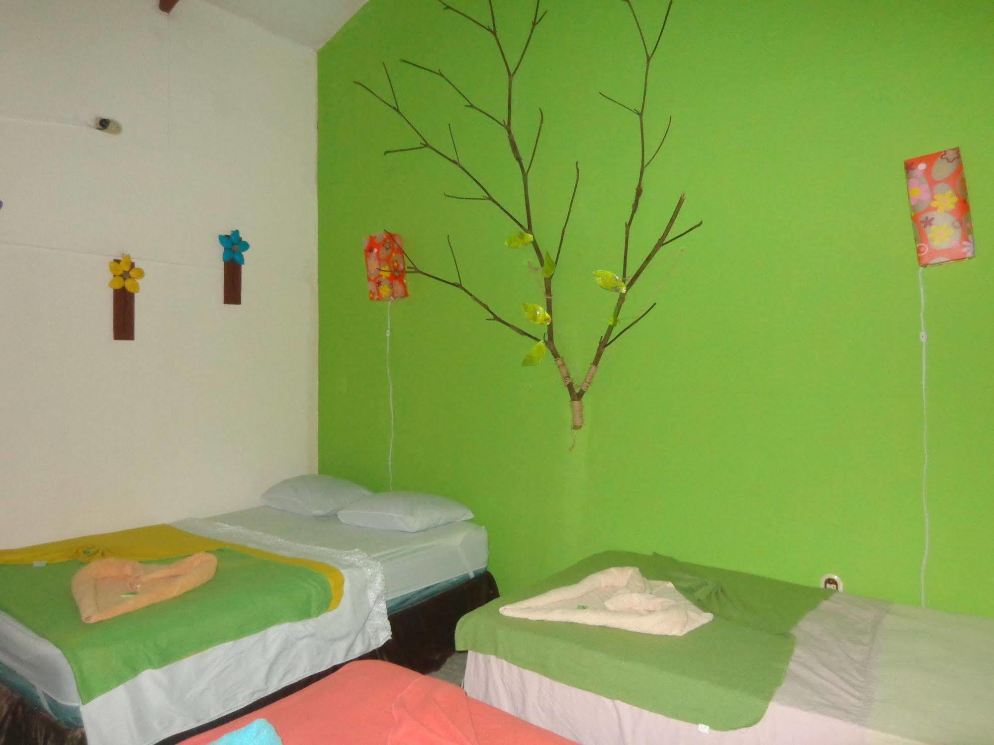 Cabinas Tortuguero Natural 外观 照片