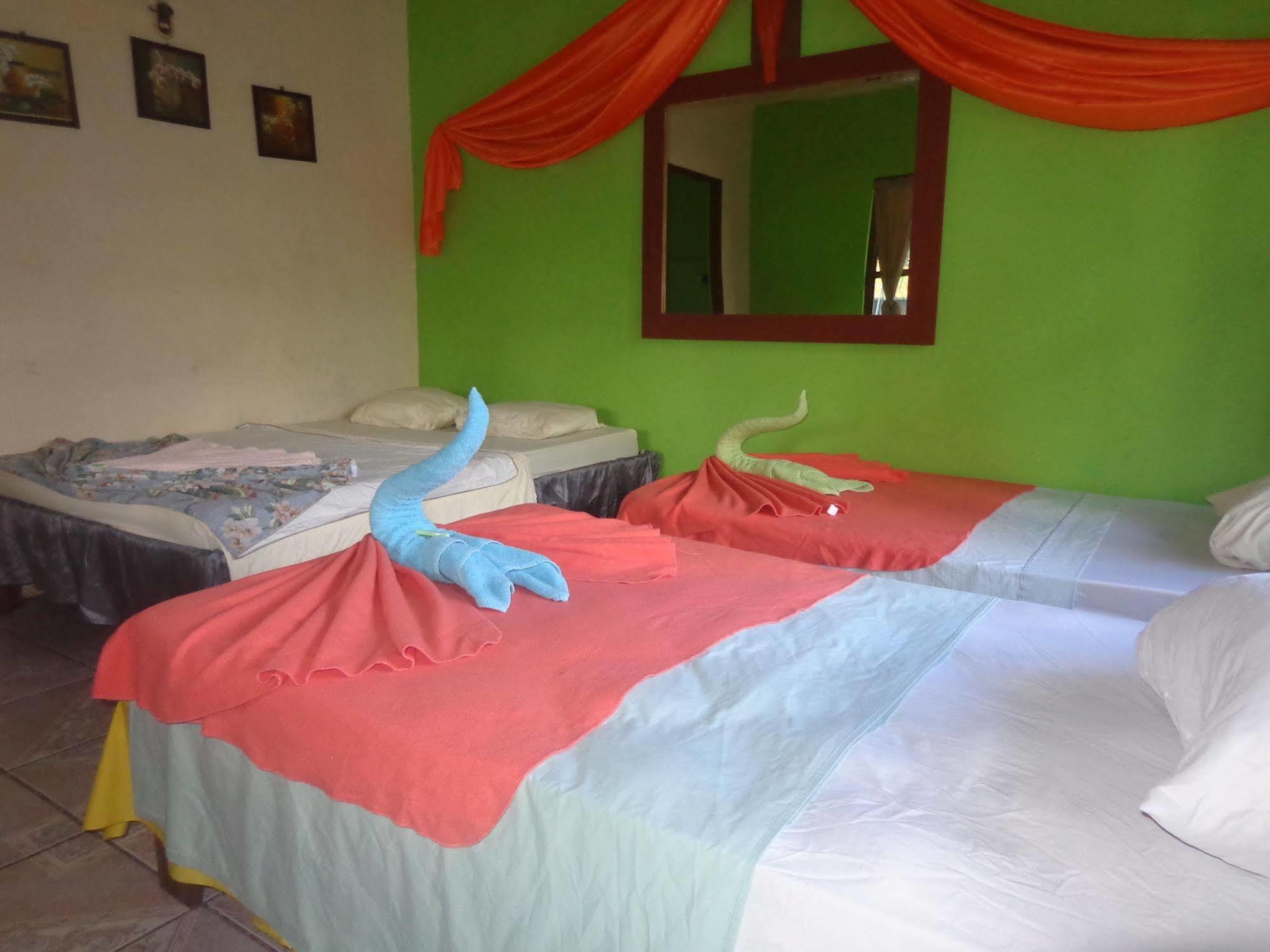 Cabinas Tortuguero Natural 外观 照片